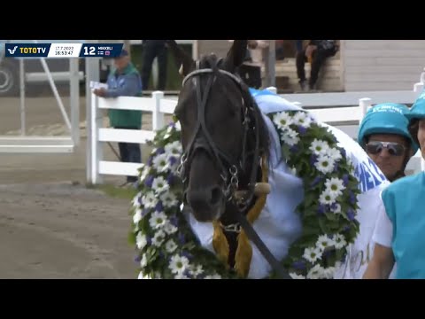 St Michel-Ajo 2022 - Run For Royalty