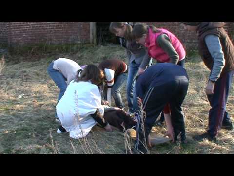 Brzezie - Niebezpieczne Zabawy