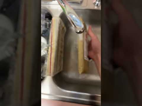 The farmers dog food first impression