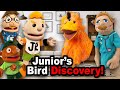 SML Movie Junior S Bird Discovery