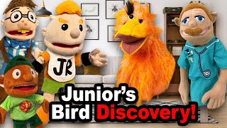SML Movie: Junior's Bird Discovery!