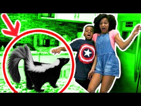 SKUNK In Our HOUSE For 24 Hours - Shiloh and Shasha - Onyx Kids