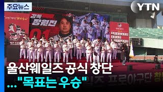 첫 시민야구단 울산웨일즈 창단..."목표는 우승" / YTN
