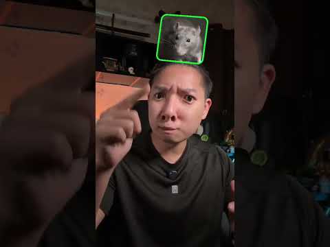 หน้าตาอย่างเราก็ต้องเหมาะกับสัตว์น่ารักน่ารักแบบ?! #games