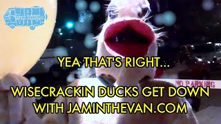 Honey Island Swamp Band - Teaser #JAMINTHEVAN