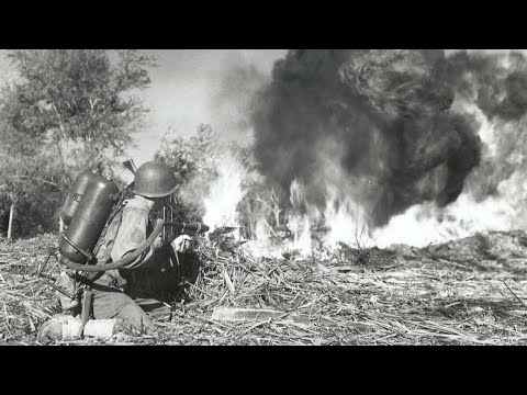 Captured Japanese Engineer Tested M2 Flamethrower — Realized Why 89,000 Troops Burned in 12 Weeks