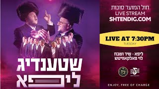 ליפא שמעלצר, לוי פאלקאוויטש וחברים במופע סוכות מיוחד - צפו: video