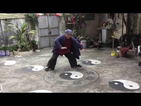 Daniel Mitel filming Master Zhang doing Baguazhang in Zhuhai, China