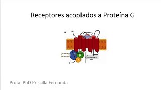Receptores acoplados a Proteína G