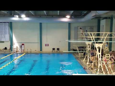 2017 UNCW Men's 3m - Dive 2 201C