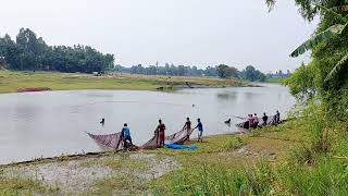 গাছবাড়ী বিলের মাছ ধরার অসাধারণ দৃশ্য।