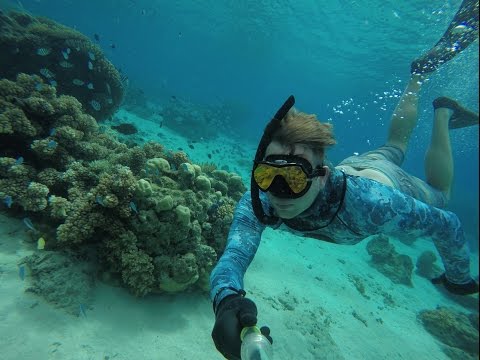 Fiji Snorkeling Adventure