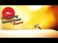 Day Biting Mosquitoes