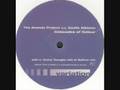 The Ananda Project - Cascades Of Colour (Danny Tenaglia Edit of Saffron Mix)