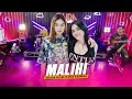Download Lagu ARLIDA PUTRI FT DIKE SABRINA  -  MALIHI  Live Mp3 Free