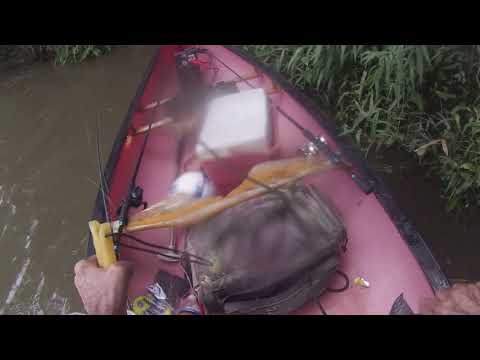 Mikey Jr from Jackall Baits