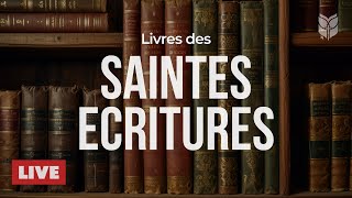 BibleVision Français 🔴 Écoute, médite, prie – La Bible vivante en français 24/7