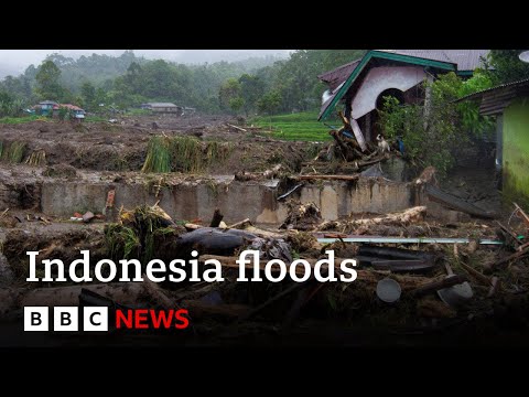 Video | At least 43 people killed in Indonesia floods | BBC News