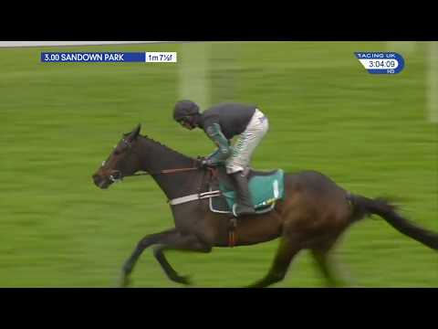 Altior Wins Again: bet365 Celebration Chase at Sandown
