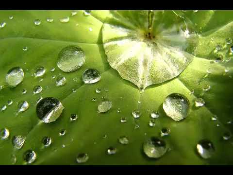 Fedo Mora and Camurri -- After the rain (Geo mix)