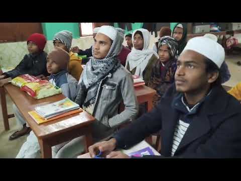 Students Learning about Animals and Making Sentences in English