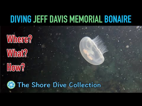 Diving Jeff Davis Memorial Bonaire | The Shore Dive Collection | TropicLens - 4K