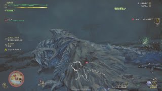 Monster Hunter Wilds Beta test_20250217191441