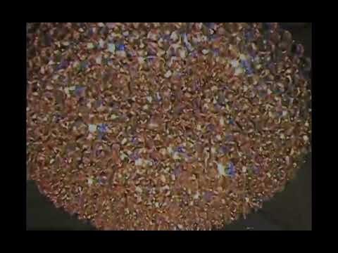 Zábaz - No Azara (Visualizer) (Prod. FUNKDEALER)