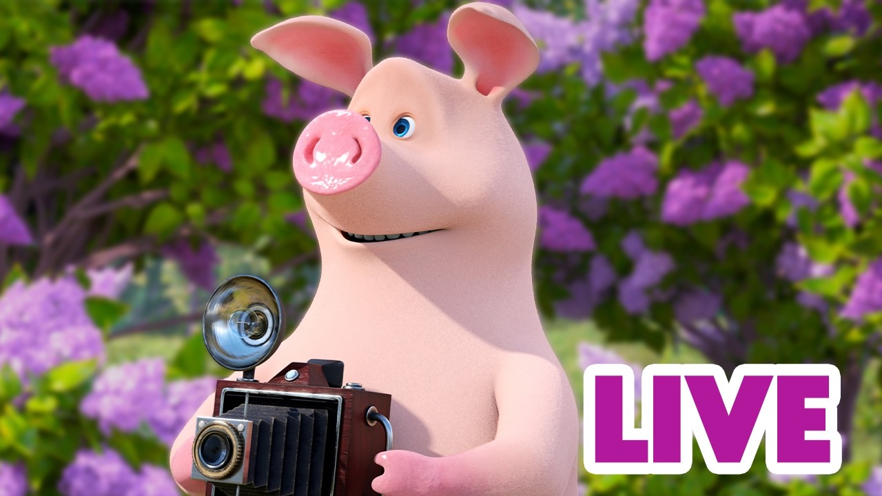 ماشا والدب 🐻👱‍♀️ LIVE STREAM! 🎬 هل التقطت صورة؟ 📸🌄