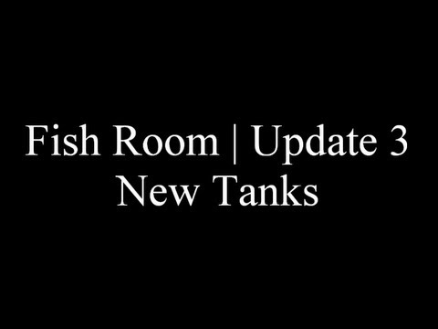 ** Discus Fish Room | Update 3 | New Custom Made Fish Tanks **