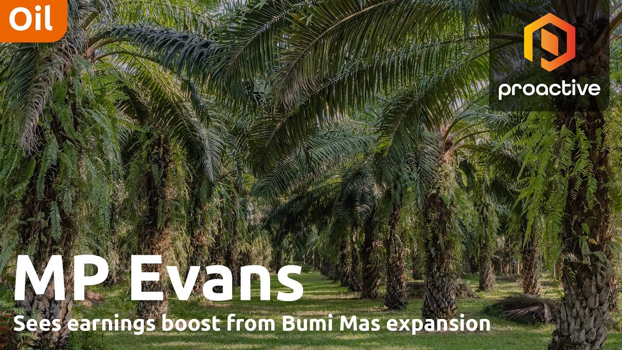 MP Evans CEO on strong H1 performance, Bumi Mas expansion, sustainability and outlook