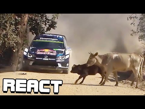 React: Die lustigsten Rally-Momente