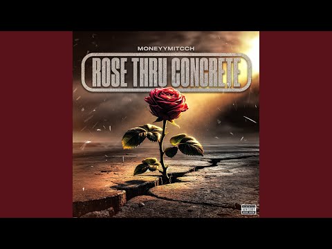 Rose Thru Concrete