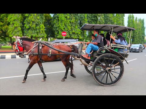 NAIK DELMAN LAGU ABANG TUKANG BAKSO MARI MARI SINI AKU MAU BELI