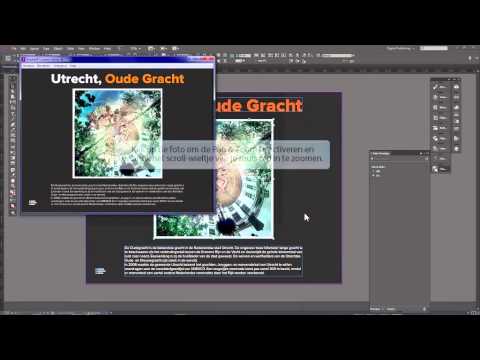 DPS005 PanZoom NIEUW