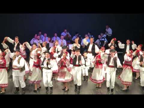 Ansamblu folcloric “ZĂRANDUL” al Palatului Copiilor ARAD 18 ani