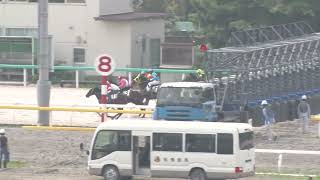 2025年5月21日船橋競馬能力調教試験