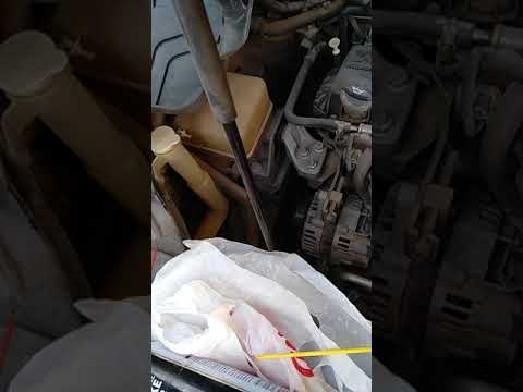 download lagu mp3 mp4 Brilliance Price In Egypt, download lagu Brilliance Price In Egypt gratis, unduh video klip Brilliance Price In Egypt