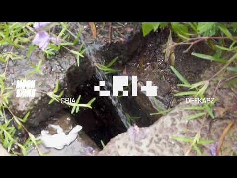 Moonshine, Deekapz - CRIA (visualizer)