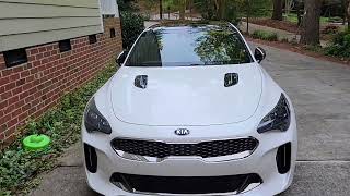 Kia Stinger fading/spotty window trim fix
