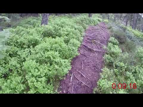 VK Trail #diabeteshjältar 2019 - 16 km (Löparperspektiv)