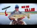Video Thumbnail for Ned Rig Walleye Slam (Dock Fishing Shallow Water)