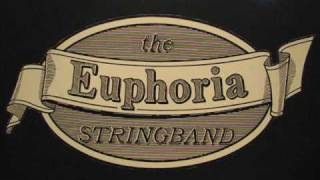 Meet the Euphoria Stringband