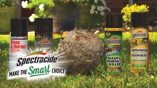 Spectracide® Solutions | Wasp, Hornet & Yellow Jacket Killer