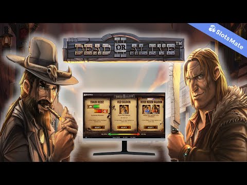 Dead Or Alive 2 Slot by NetEnt Gameplay  (Desktop View)