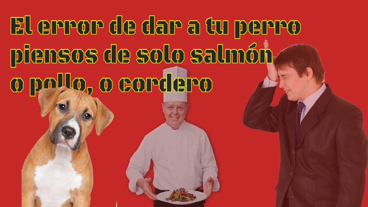 El error de dar pienso de solo salmón o pollo o cordero a tu perro