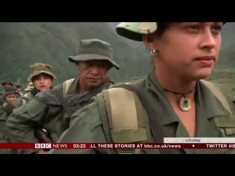 Cocaine production risen to record levels (Colombia) - BBC News - 20th September 2018