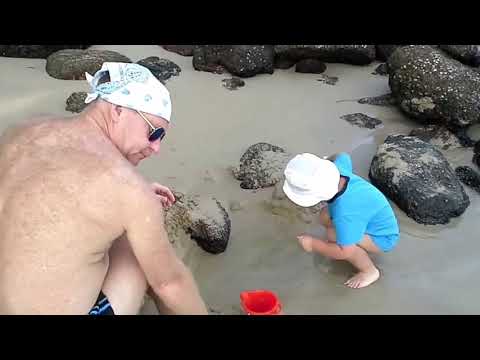 Влог/Тайланд /Пхукет/февраль 2017