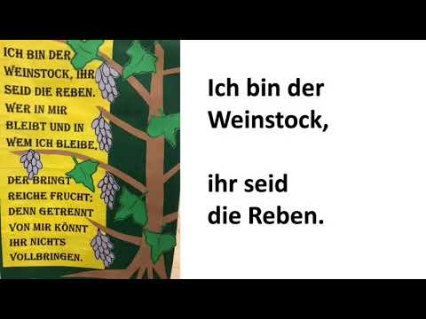 Ich bin der Weinstock (von Kathi Stimmer-Salzeder)