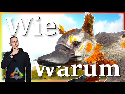 ARK Taming Guide | Maewing zähmen & seine Fähigkeiten mit Humor
